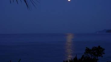 施設からの眺望 / 32