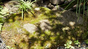 施設からの眺望 / 9