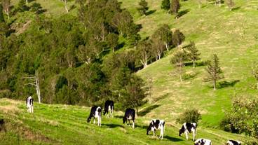 観光スポット / 11