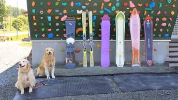 ロッククライミング用の壁 - 屋内 / 3