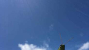 スノー スポーツとスキー / 1