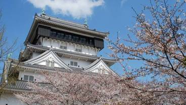 シティ ビュー / 15