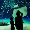 大人デートに最適♪池袋のデートスポット7選