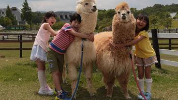 観光スポット / 10