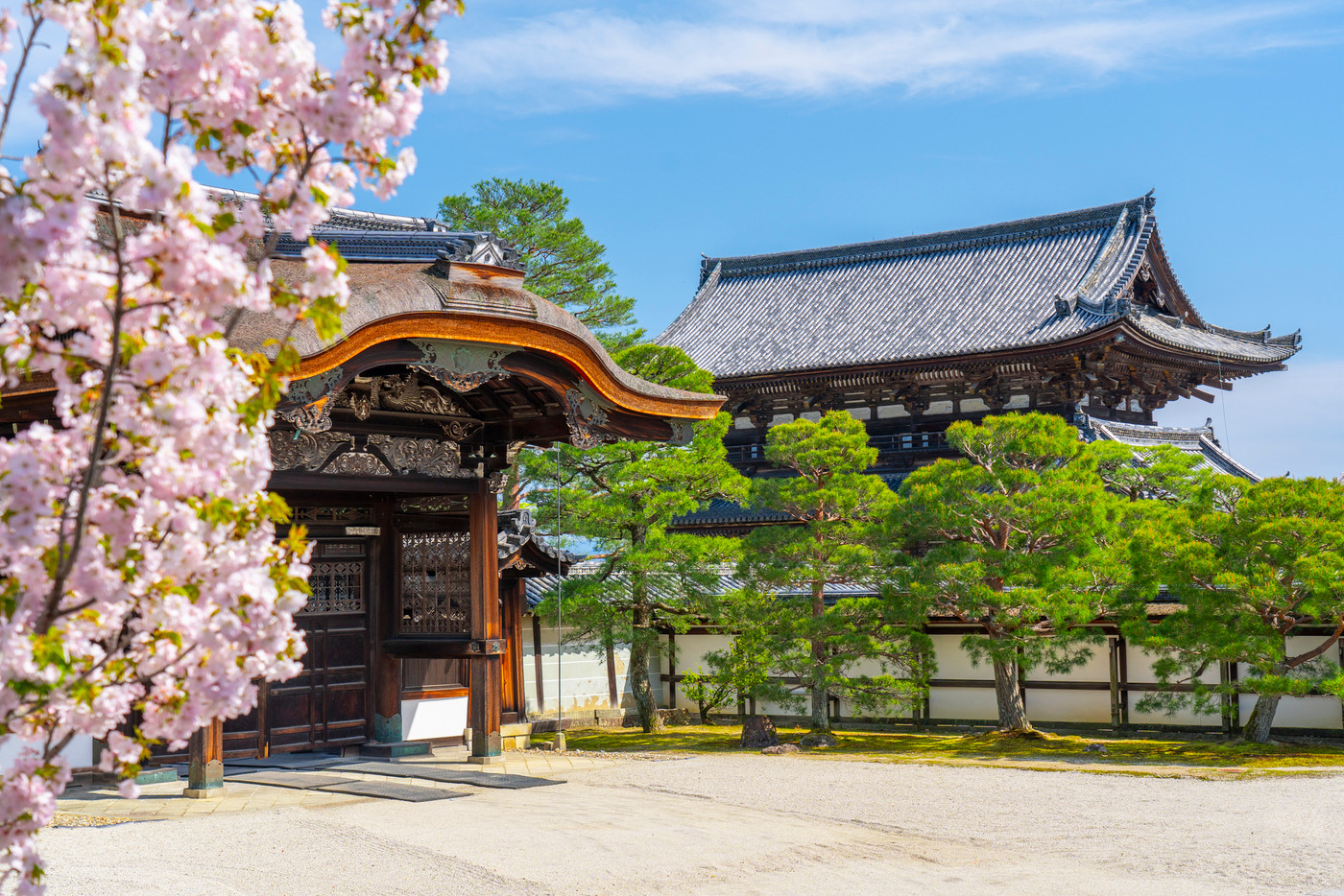 仁和寺【仁和寺御室会館】3907867