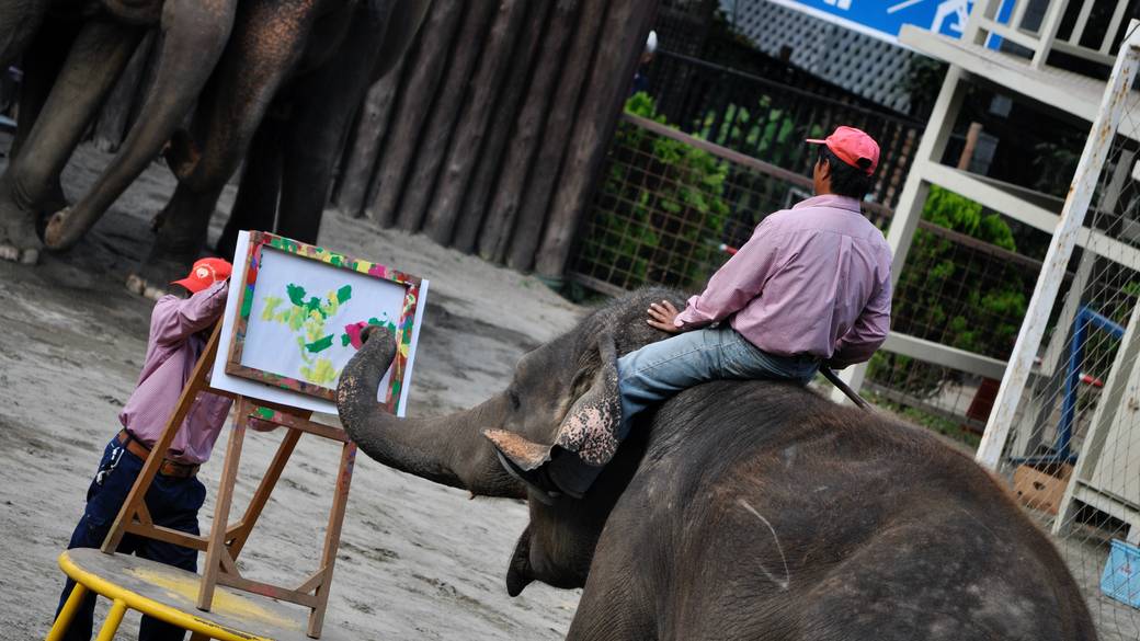 ゾウの動物園で
餌やり体験♪ / 2