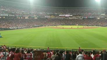 観光スポット / 35