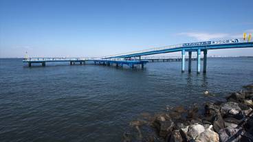 シティ ビュー / 17