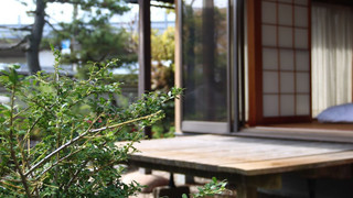 和室12畳 (トイレ付) 松 禁煙