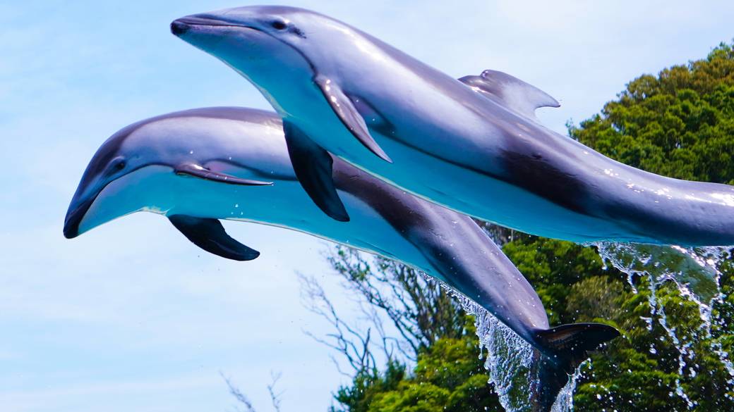 下田へ到着したら
「下田海中水族館」へ / 2