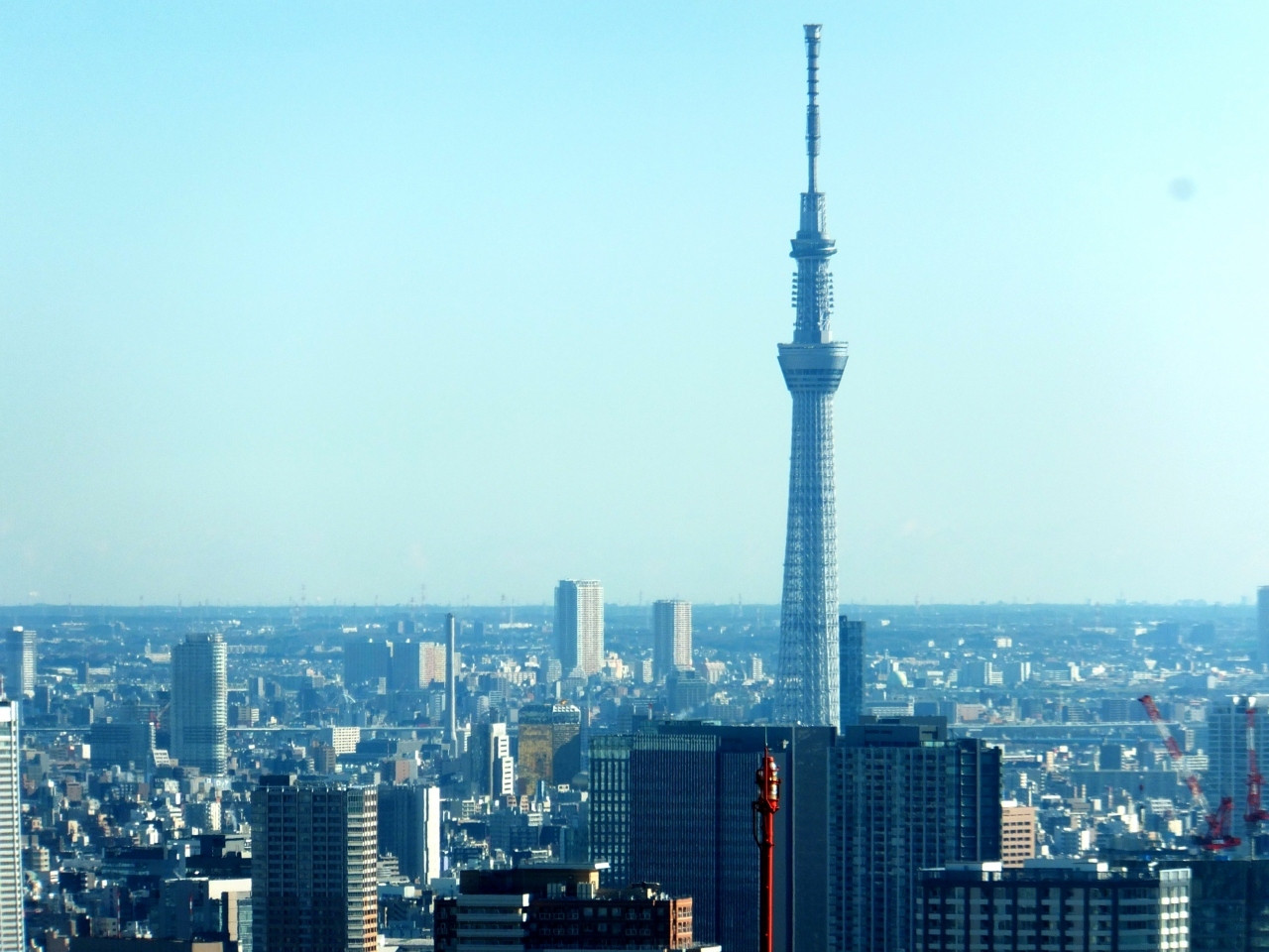 東京タワーの代わりに…東京都庁に登ってみよう592295