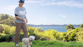 ドッグフレンドリー 和室