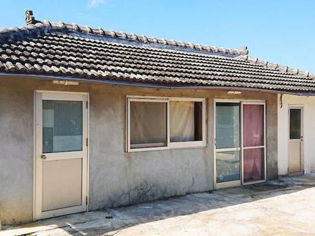 KOURIJIMA ぶどうの樹 / 3