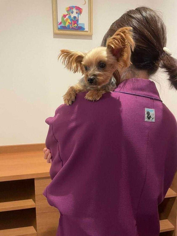 shiori.0610.iroihsさんの写真 / 1