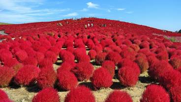 観光スポット / 10