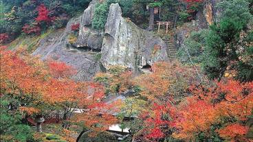 観光スポット / 7