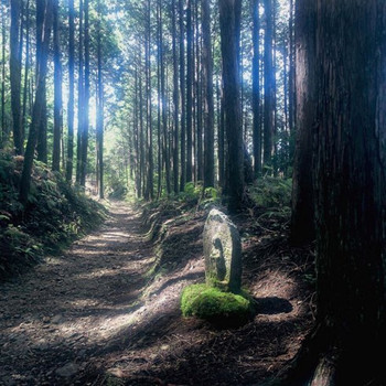 熊野古道で思い切り深呼吸しよう3967746