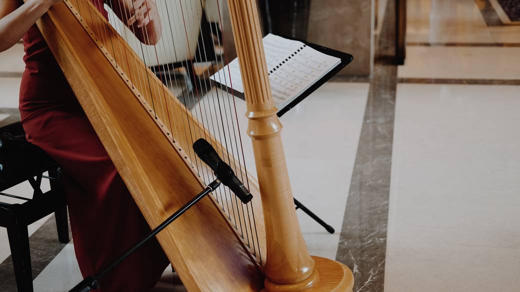 ハープ演奏会 ※イメージ / 3