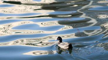 施設からの眺望 / 3