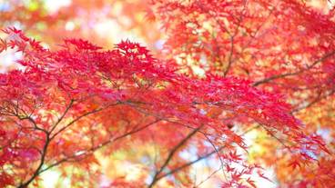 施設からの眺望 / 19