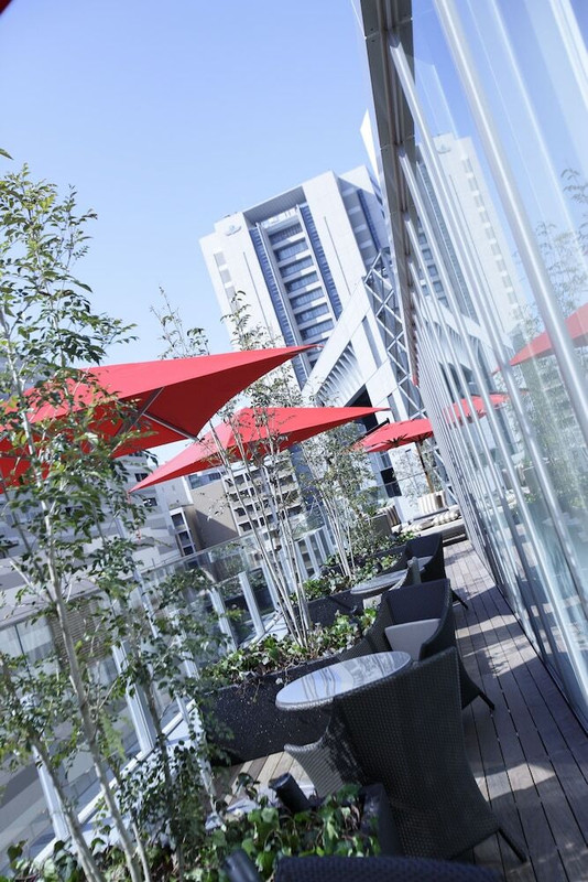 テラス / パティオ