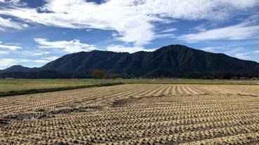 施設の敷地 / 10