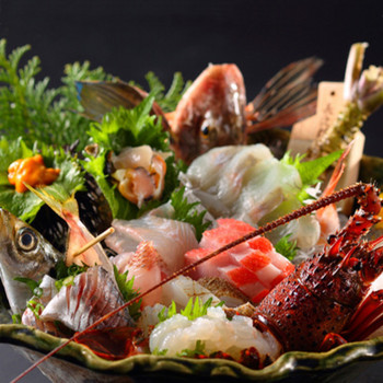 鮮魚と天然温泉を楽しむ和モダンホテル3554539