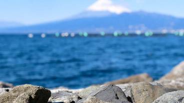 観光スポット / 4