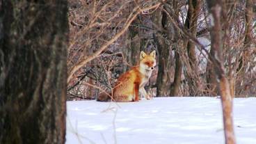 施設からの眺望 / 18