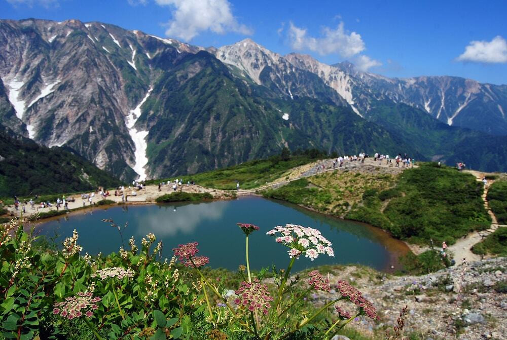 マウンテン ビュー