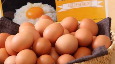 施設内の設備 / 8