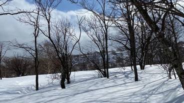 スノー スポーツとスキー / 26