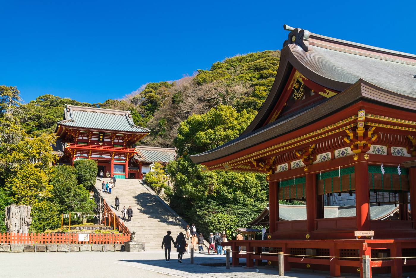 鎌倉　鶴岡八幡宮　本宮と舞殿