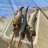 清流長良川 あゆパーク（セイリュウナガラガワアユパーク）