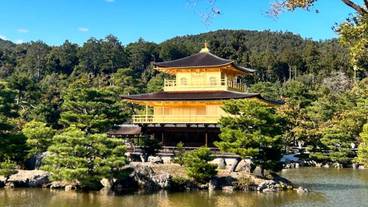 市街地へのシャトル サービス / 5