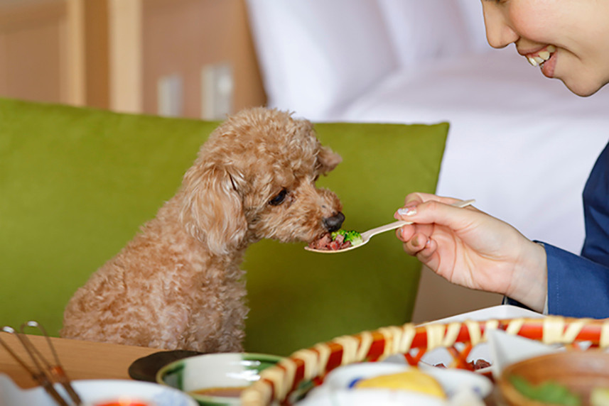 レジーナリゾート 箱根雲外荘(レジーナリゾートハコネウンガイソウ) / 3