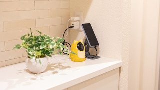 ベーシック アパートメント