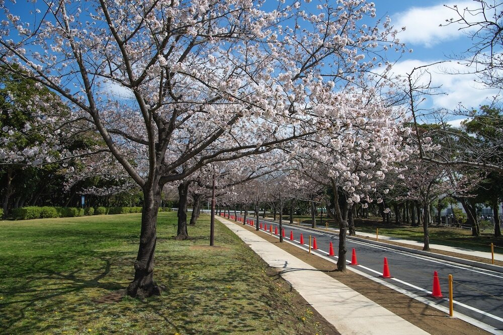 施設からの眺望