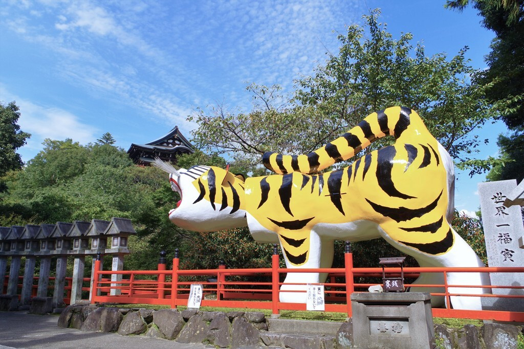 金運招福の銭亀善神が祀られている唯一の場所へ3067341