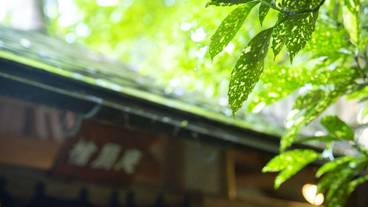 温泉 / 4