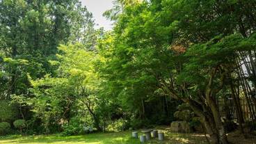 日本庭園 / 40
