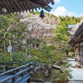 蓮華定院（和歌山県 旅館） / 3