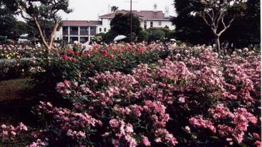 施設からの眺望 / 27