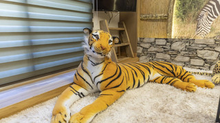 エクスクルーシブ ルーム 禁煙 共用バスルーム