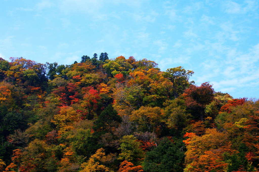 九酔渓すぐそばの、絶景風呂が楽しめる癒しの場所3483771