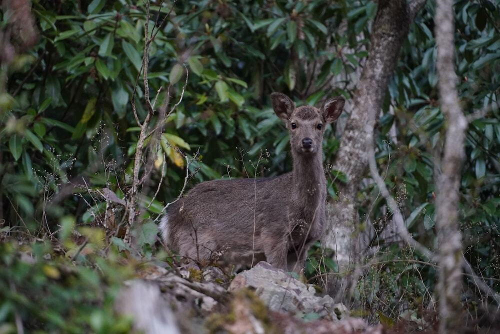施設からの眺望