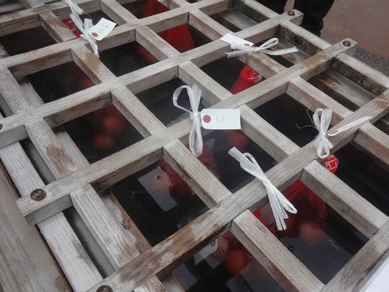 おすすめの立ち寄り湯/鴻の湯4003844