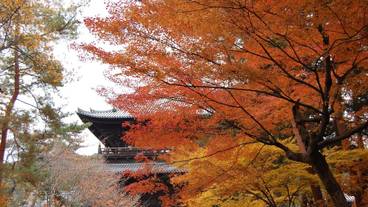 観光スポット / 14