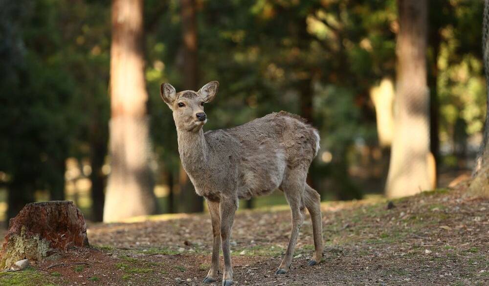 ホテル敷地内の風景 / 2