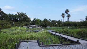 観光スポット / 5